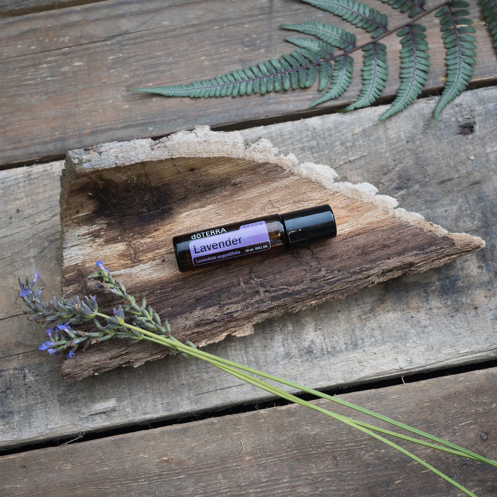 doTERRA-Lavender-Touch-10ml-Roll-On