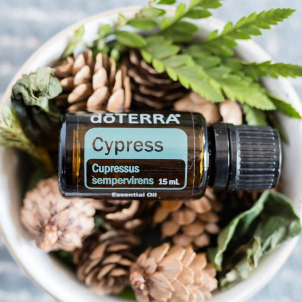 doTERRA-Cypress-Essential-Oil-15ml